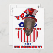 ハーブを大統領に投票しろ!ヤギ ポストカード (正面/裏面)