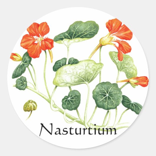 ハーブガーデンシリーズ – Nasturtium ラウンドシール (正面)