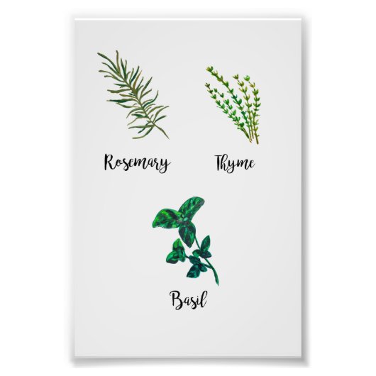 ハーブガーデン絵を描ズ フォトプリント            (正面)