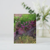 ハーブガーデン ポストカード (スタンド正面)