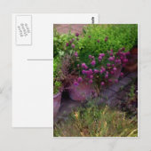 ハーブガーデン ポストカード (正面/裏面)