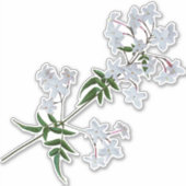 ハーブジャスミン |ビニールステッカー シール (正面)