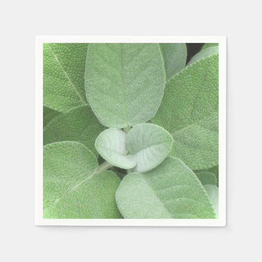 ハーブナプキン スタンダードカクテルナプキン (正面)