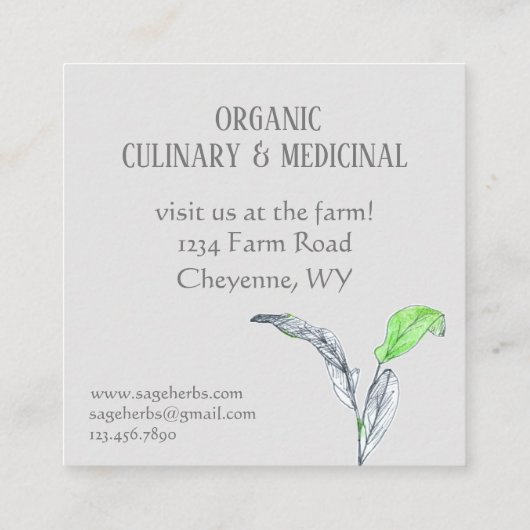 ハーブビジネスセージ農薬用調理器具 スクエア名刺 (裏面)