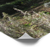 ハーブファーム ポスター (角)