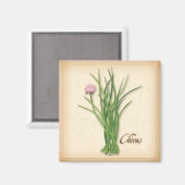 ハーブマグネット マグネット (正面/裏面)