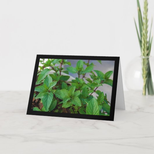 ハーブミントの植物 カード (正面)