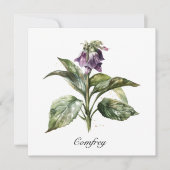 ハーブライフ：カスタマイズ可能なコムフリー シーズンカード (正面)