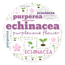 ハーブワードラベル – ハーブ/野菜 – PURPLECONE