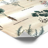 ハーブ植物花 ポスター (角)