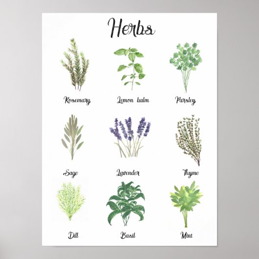 ハーブ水の色のセージTHIMEローズマリーキッチン ポスター (正面)