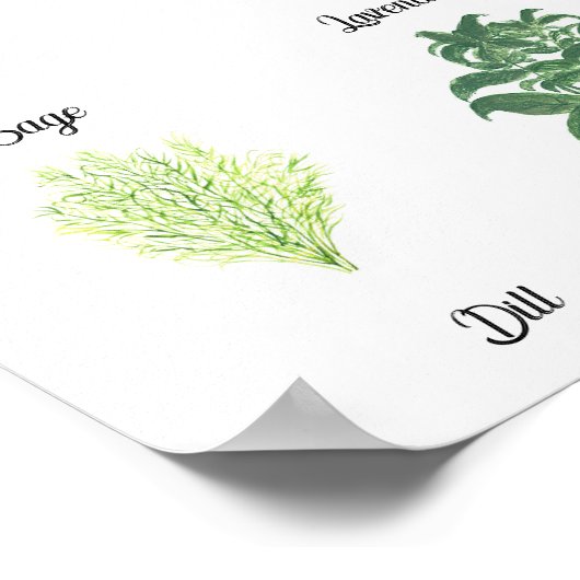 ハーブ水の色のセージTHIMEローズマリーキッチン ポスター (角)