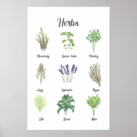 ハーブ水の色のセージTHIMEローズマリーキッチン ポスター (正面)