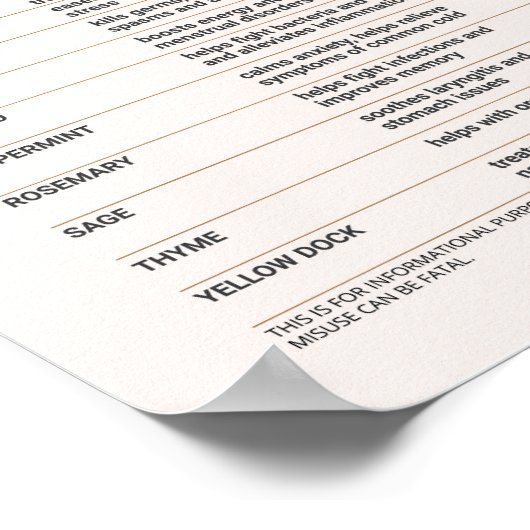 ハーブ治療と神秘的なテーブル ポスター (角)