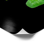 ハーブ熱狂するレディ ポスター (コーナー)