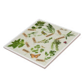 ハーブ タイル (側面)