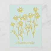 ハーブ チャモミール サポートしてくれてありがとう ポストカード (正面)