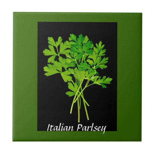 ハーブ-パセリのタイル タイル (正面)