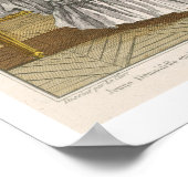 ハープシコードで音楽を学ぶ若い女性, pla ポスター (角)