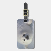 ハープシールフォカgroenlandica) 1週間のハープ ラゲッジタグ (正面縦)