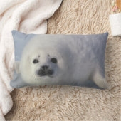 ハープシールフォカgroenlandica) 1週間のハープ ランバークッション (ブランケット)