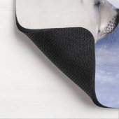 ハープシールマザーとポップ マウスパッド (コーナー)