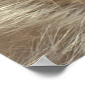 ハープシール ポスター (角)