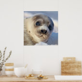 ハープシール ポスター (キッチン)