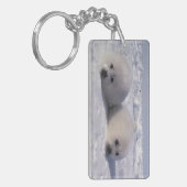 ハープシール(Phoca groenlandica)ハープシールパップ キーホルダー (正面左)
