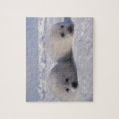 ハープシール(Phoca groenlandica)ハープシールパップ ジグソーパズル (縦)