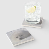 ハープシール(Phoca groenlandica)ハープシールパップ ストーンコースター (横)