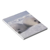 ハープシール(Phoca groenlandica)ハープシールパップ ノートパッド (アングル)