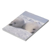 ハープシール(Phoca groenlandica)ハープシールパップ ノートパッド (回転)