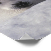 ハープシール(Phoca groenlandica)ハープシールパップ ポスター (角)