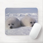 ハープシール(Phoca groenlandica)ハープシールパップ マウスパッド (マウス)
