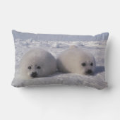 ハープシール(Phoca groenlandica)ハープシールパップ ランバークッション (裏面)