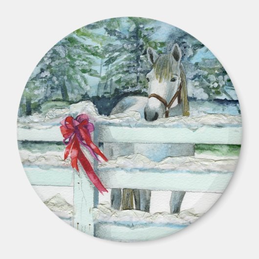 ハーベイ マグネット (正面)