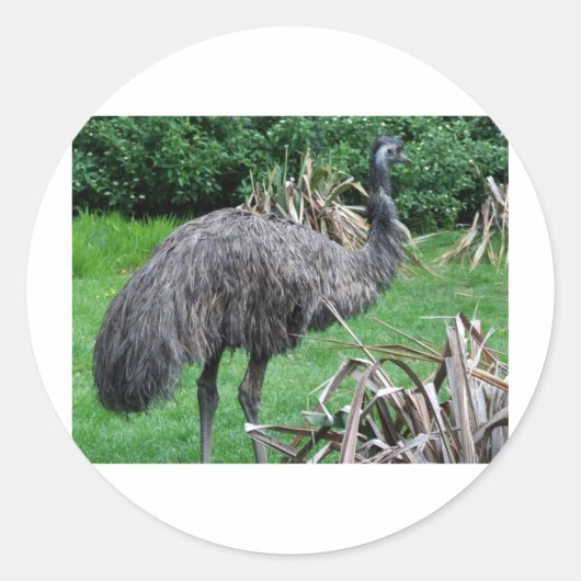 ハーベイ ラウンドシール (正面)