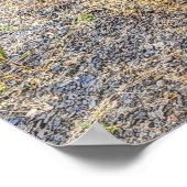 ハーベスタ国際的ートラック1946 ポスター (角)