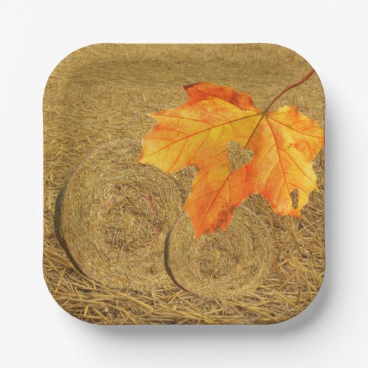 ハーベストオブラブ紙プレート ペーパープレート (正面)