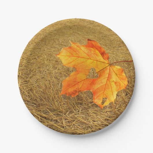 ハーベストオブラブ紙プレート ペーパープレート (正面)