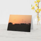 ハーベストサンセット カード (黄色い花)
