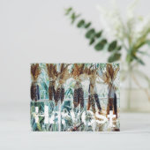 ハーベストシーズンファーマーズマーケット ポストカード (スタンド正面)