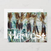 ハーベストシーズンファーマーズマーケット ポストカード (正面/裏面)