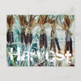 ハーベストシーズンファーマーズマーケット ポストカード
