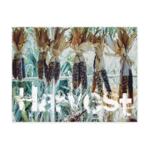 ハーベストシーズンファーマーズマーケット