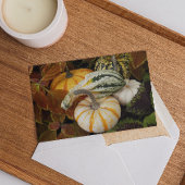 ハーベストスカッシュ感謝祭ディナー招待状 シーズンカード