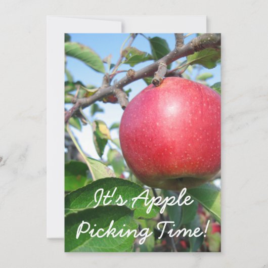 ハーベストタイム招待状 招待状 (正面)