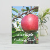 ハーベストタイム招待状 招待状 (スタンド正面)