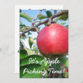 ハーベストタイム招待状 招待状 (正面/裏面)